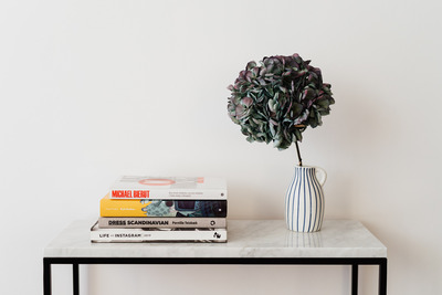 kaboompics_Books On Marble Table, White Background, Hydrangea