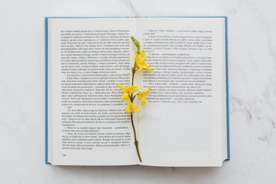 kaboompics_Book & spring flowers (1)