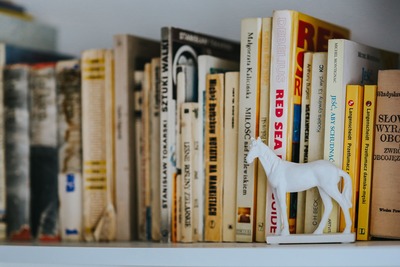kaboompics_Books on a shelf