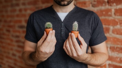 batch_kaboompics_Miniature cacti in clay pots (1)