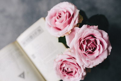 kaboompics_Lovely roseses and book